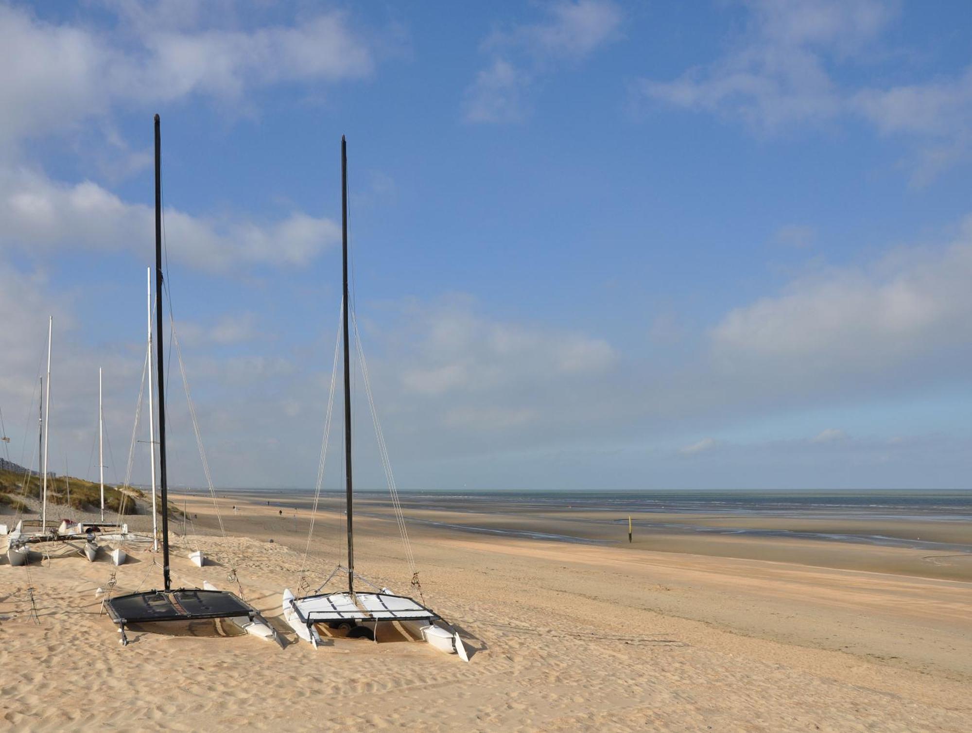 Vitamine D Koksijde Bagian luar foto